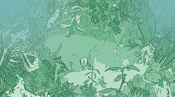 jeunesse illustration fantastique