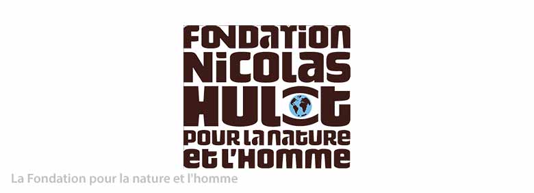 hulot illustration hulot illustration